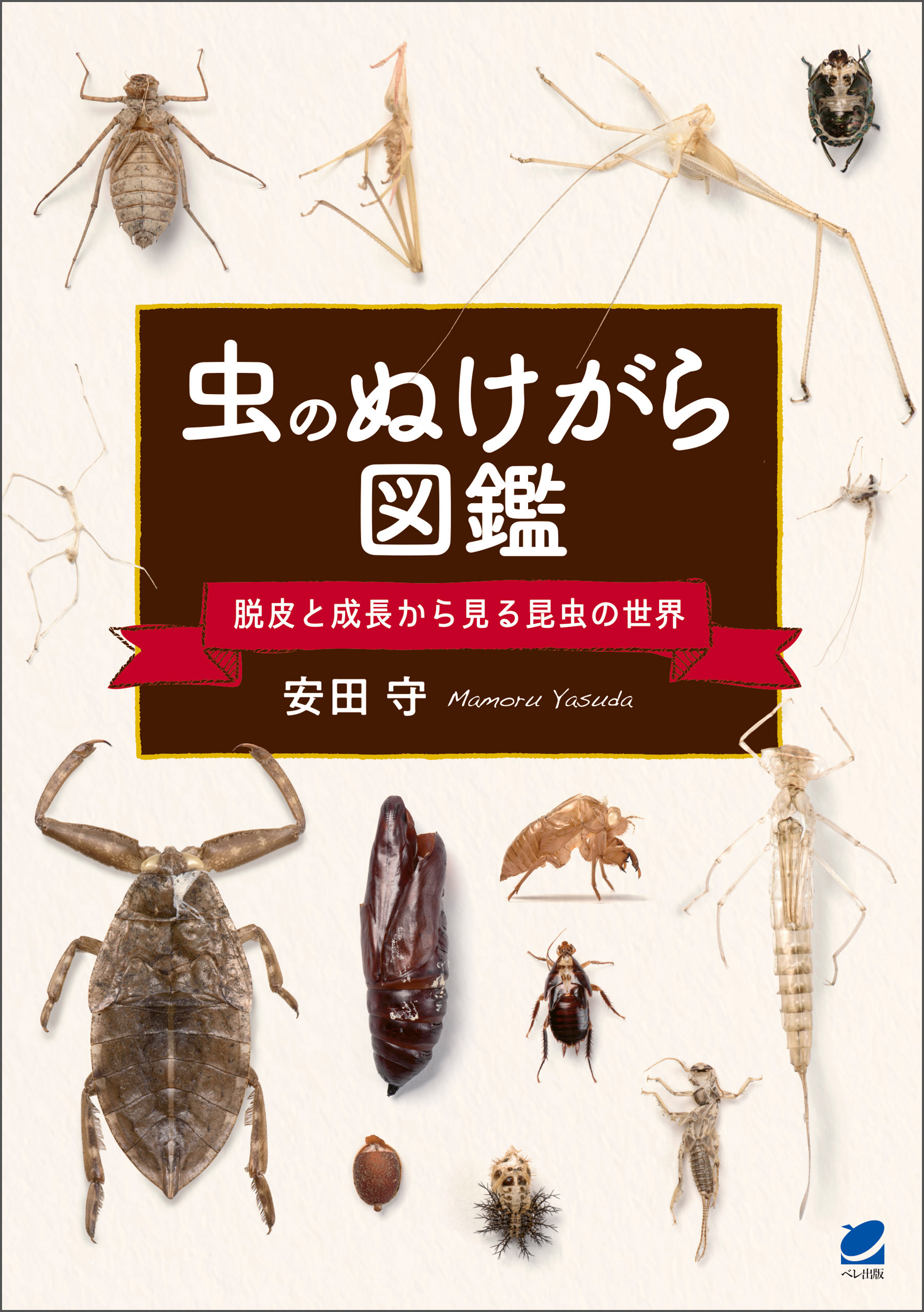 虫のぬけがら図鑑 ―脱皮と成長から見る昆虫の世界 - 安田守 - ビジネス 