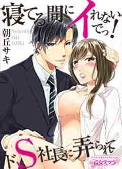 寝てる間にイれないでっ！～ドS社長に弄られて～