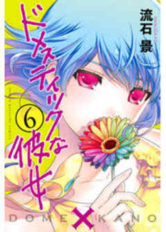 ドメスティックな彼女