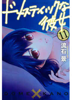 ドメスティックな彼女