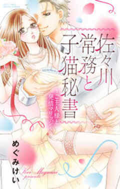 佐々川常務と子猫秘書