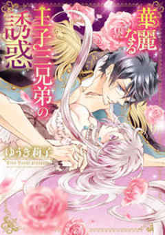 華麗なる王子三兄弟の誘惑