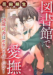 図書館で愛撫～28歳司書はセカンドバージン～