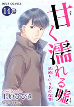 甘く濡れる嘘～結婚という名の復讐～