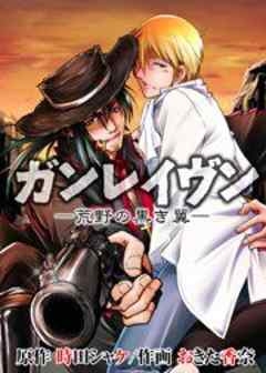 ガンレイヴン－荒野の黒き翼－