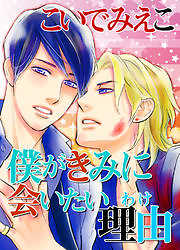 僕がきみに会いたい理由