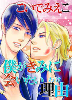 僕がきみに会いたい理由