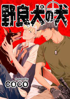 Splush　野良犬の犬