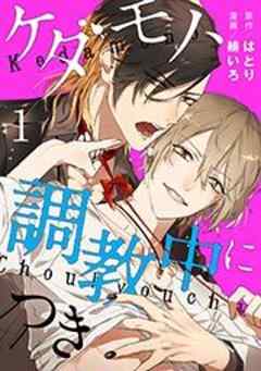 ケダモノ、調教中につき