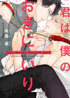 君は僕のおきにいり