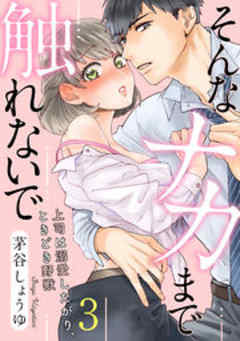 そんなナカまで触れないで～上司は溺愛したがり、ときどき野獣～