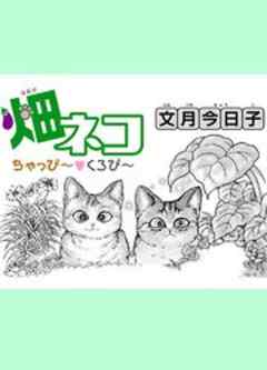 畑ネコちゃっぴ～▼くろぴ～