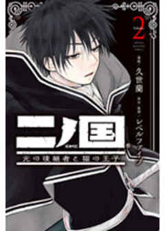 二ノ国　光の後継者と猫の王子