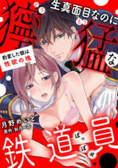 生真面目なのに獰猛な鉄道員（ぽっぽや）～豹変した彼は性欲の塊～