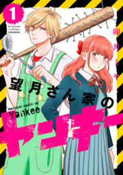 望月さん家のヤンキー