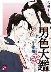 男色大鑑 改 若衆編