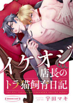 イケオジ店長のトラ猫飼育日記