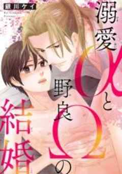 溺愛αと野良Ωの結婚