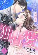 極上御曹司の独占愛～愛され契約妻になりました～