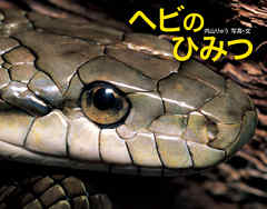 ヘビのひみつ