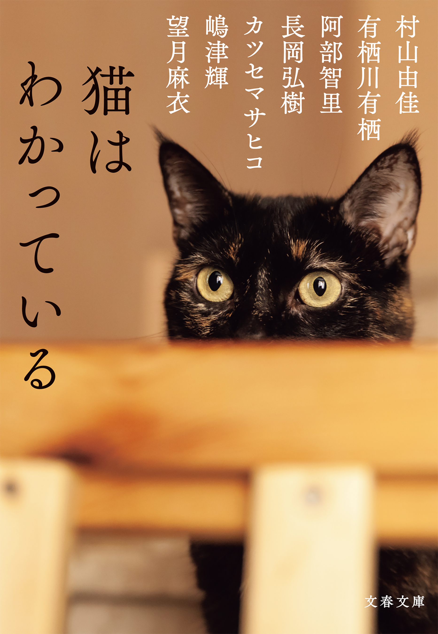 猫はわかっている | ブックライブ