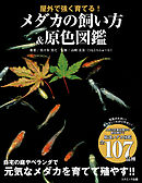 絶対わかるセスペ28春 16年秋版 左門至峰 平田賀一 漫画 無料試し読みなら 電子書籍ストア ブックライブ