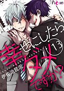 幸せにしたらダメですか？ 13