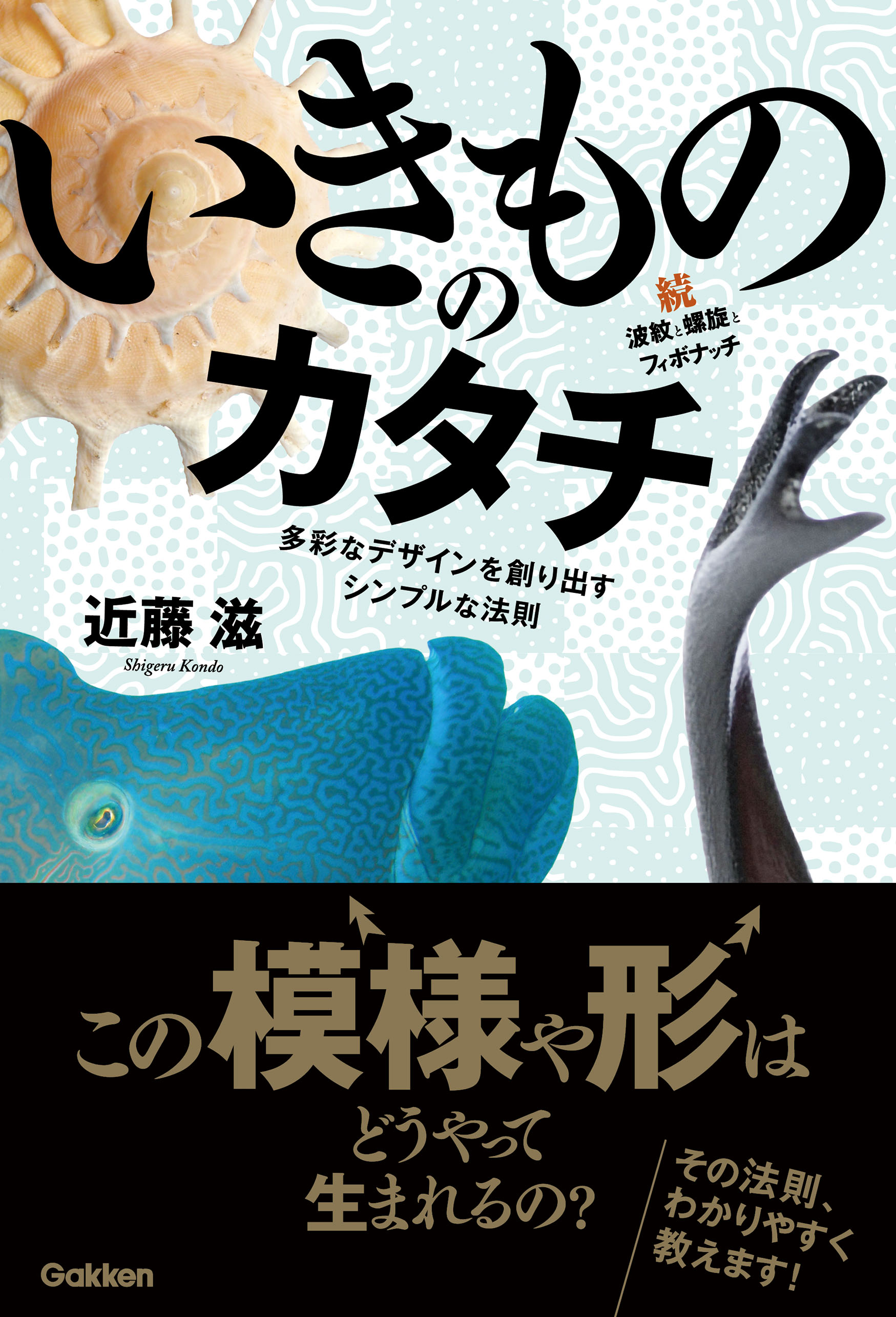 いきもののカタチ 続・波紋と螺旋とフィボナッチ 多彩なデザインを