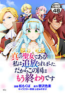 真の聖女である私は追放されました。だからこの国はもう終わりです　分冊版（４８）