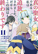 真の聖女である私は追放されました。だからこの国はもう終わりです（１１）