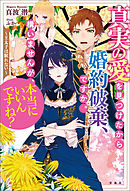 真実の愛を見つけたから婚約破棄、ですか。構いませんが、本当にいいんですね？ ～王太子は眠れない～