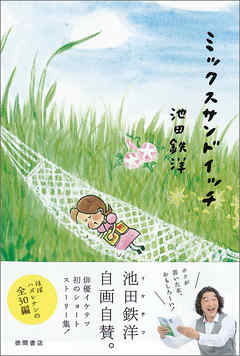 ミックスサンドイッチ