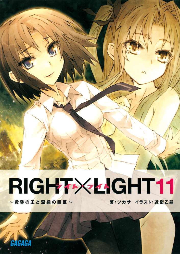 Right Light11 黄昏の王と深緑の巨臣 イラスト簡略版 漫画 無料試し読みなら 電子書籍ストア ブックライブ