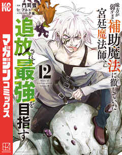 味方が弱すぎて補助魔法に徹していた宮廷魔法師、追放されて最強を目指す