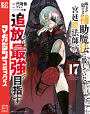 味方が弱すぎて補助魔法に徹していた宮廷魔法師、追放されて最強を目指す（１７）