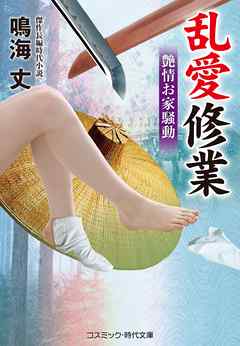 乱愛修業 艶情お家騒動