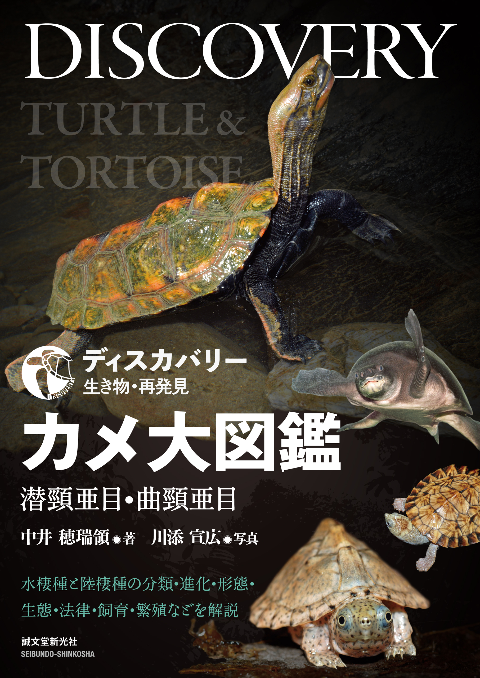 ヘビ大図鑑 分類ほか改良品種と生態・飼育・繁殖を解説 ボア