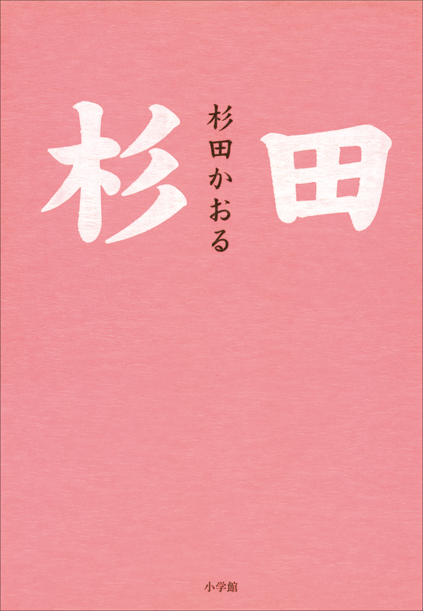 鳥の詩 杉田かおる 意味