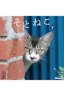 そとねこ　VOL.07