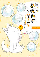私って、発達障害なんですか？～アスペルガー症候群と分かった日～ 2