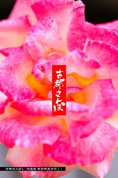 古都さんぽ4 ～写真家 茶谷明宏がゆく～