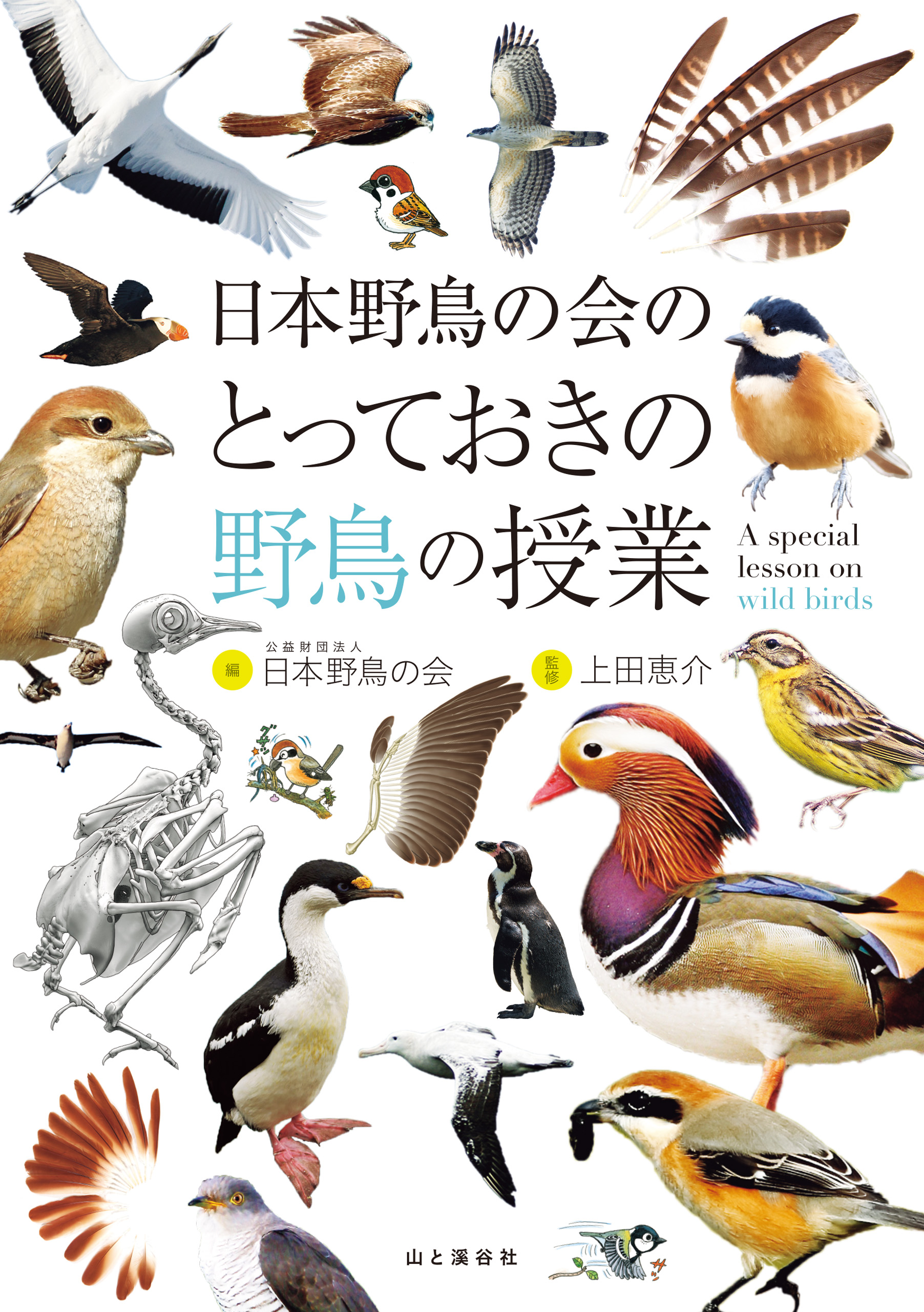 日本野鳥の会のとっておきの野鳥の授業 日本野鳥の会 上田恵介 漫画 無料試し読みなら 電子書籍ストア ブックライブ