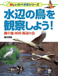 水辺の鳥を観察しよう！ 湖や池・河川・海辺の鳥