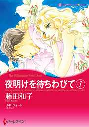 夜明けを待ちわびて【分冊】