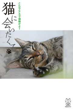 猫に会いたくて　こんなところで爆睡かよ！ - mayuニャン - 写真集・無料試し読みなら、電子書籍・コミックストア ブックライブ