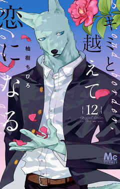 キミと越えて恋になる 単行本版 12