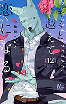 キミと越えて恋になる 単行本版 12