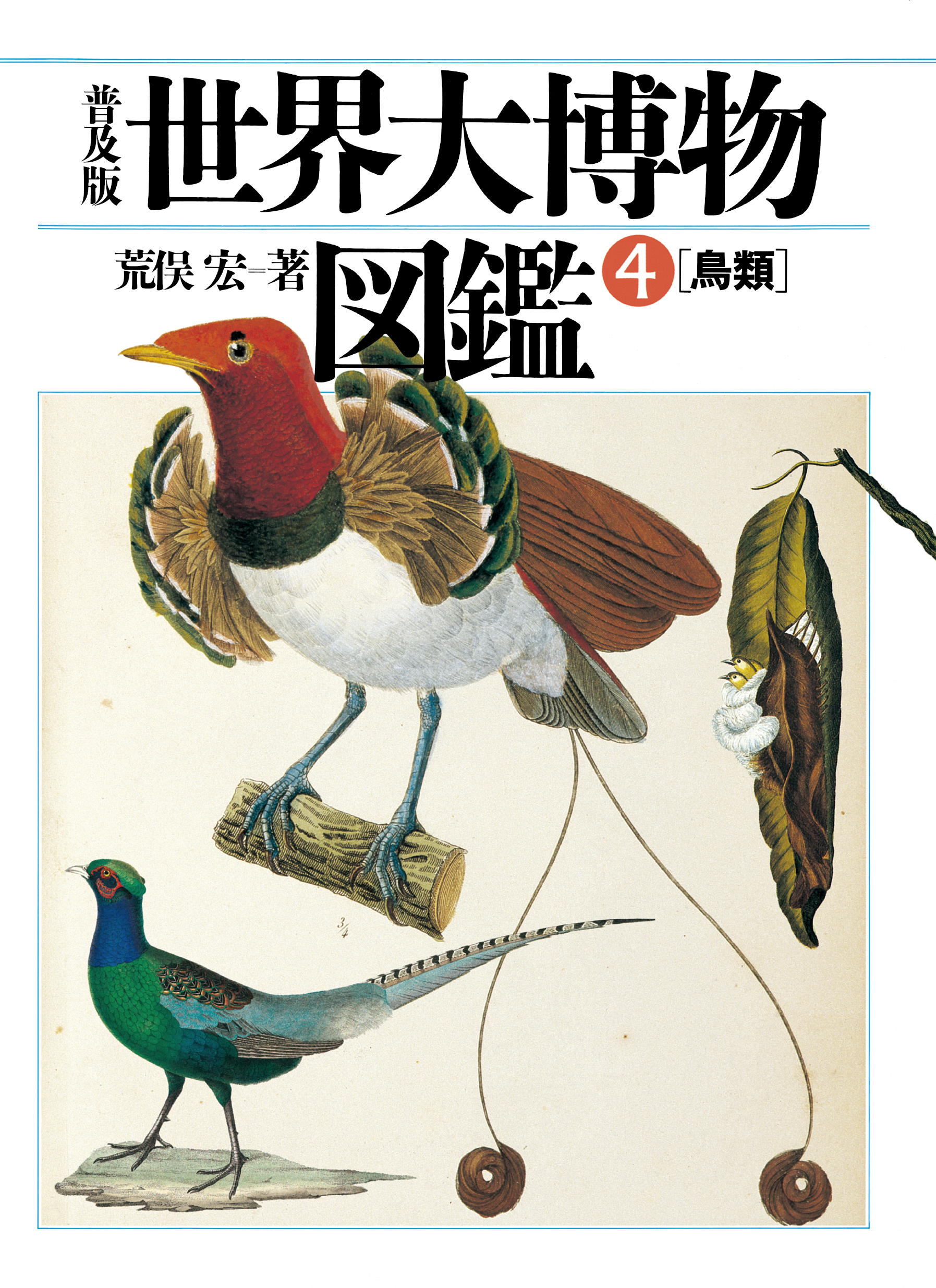 鳥類原色大図説 全3冊揃 黒田長禮 オリジナル初版（昭和8年、9年