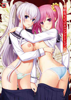 聖娼女ビジュアルコンプリートブック