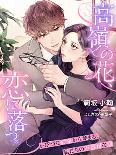 高嶺の花、恋に落つ。～いびつな約束から始まる、私たちの不器用な恋～